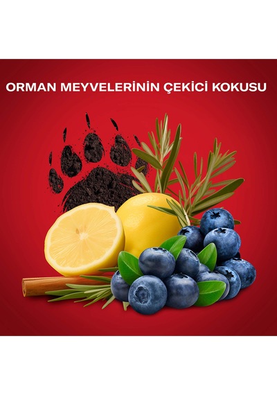 Old Spice Bearglove 48H Erkek Sprey Deodorant 150 ML