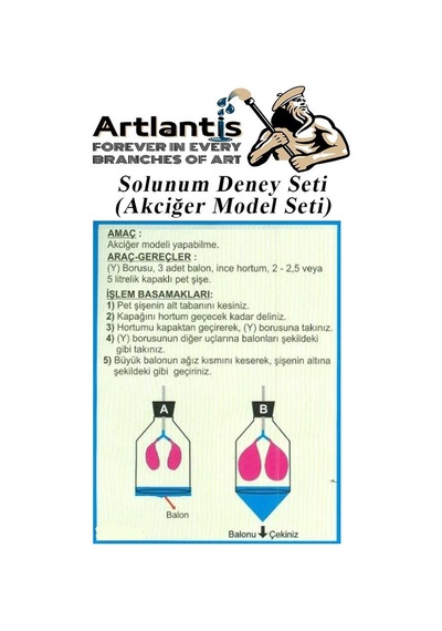 Solunum Deney Seti 7 Parça 1 Paket Akciğer Model Seti Y Boru Tıpa Balon Okul Sınıf Deney Seti