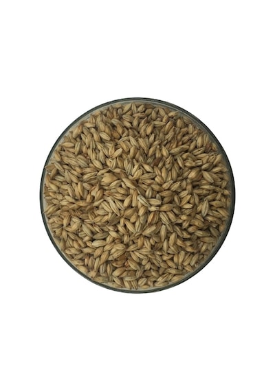 Hitit Malt Viyana Arpa Maltı 1 KG