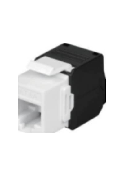 Ager Cat 6 Utp Keystone Jack Unshielded Rj45 To Lsa, Tool Free Connection, İncl