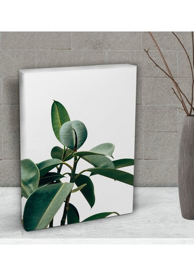 Bk Gift Green Plant Tasarımlı Dekoratif Mini Kanvas Tablo 15X20Cm (506660570)