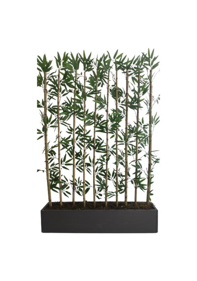 Rüzgar Yapay Çiçekçilik 170 Cm 10 Lu Bambu Seperator Yesil