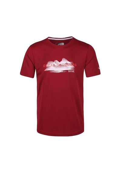 Regatta Fingal V Erkek T-Shirt - Bordo