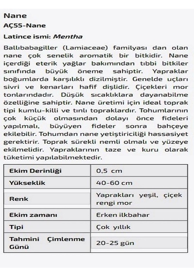 AGRodal Tarım Nane Çiçeği Tohumu N116507