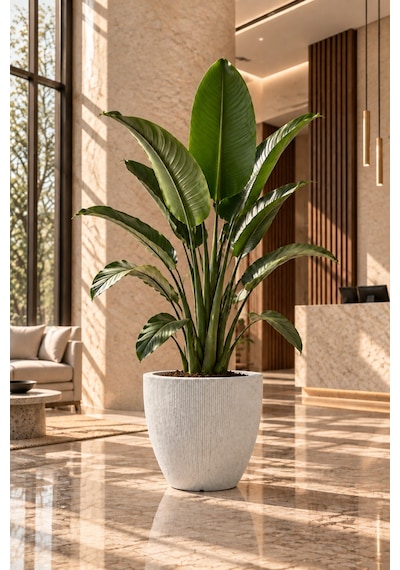 Bostann Dekoratif Saksı - Botonıa 030 - 50l - Beyaz 50 Lt