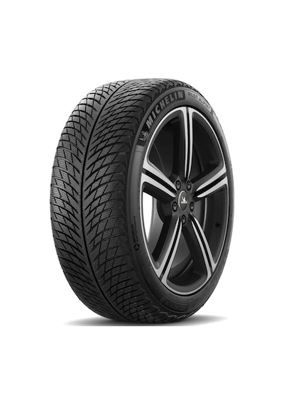 Michelin Pilot Alpin 5 255/40R19 100H XL Mo1 Kış Lastiği 2025