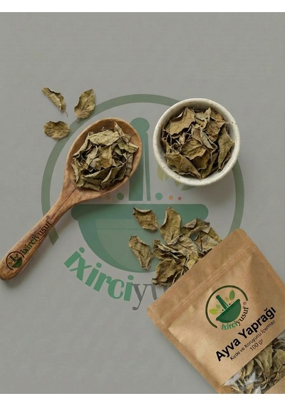 Ayva Yaprağı Kurutulmuş Bitki Çayı 100 G Doğal
