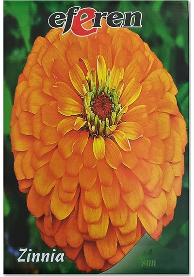 Zinnia Çiçek Tohumu