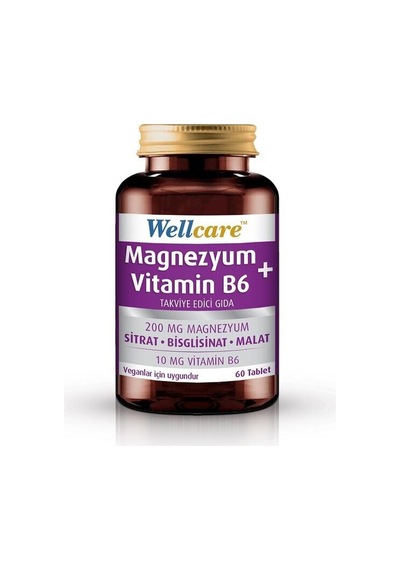 Wellcare Magnezyum Vitamin B6 60 Tablet