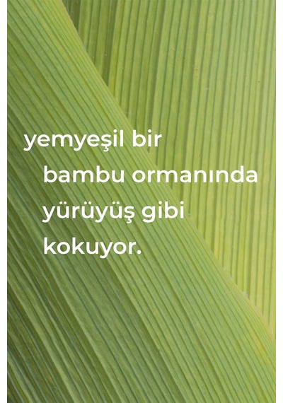Method Çok Amaçlı Yüzey Temizleyici Bambu Kokulu 828ml Tekli