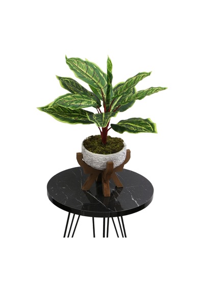 Yapay Çiçek Deposu Ahşap Ayaklı Beton Saksida Yapay Fittonia Bitkisi Bitkisi 45 Cm Yeşil-sarı