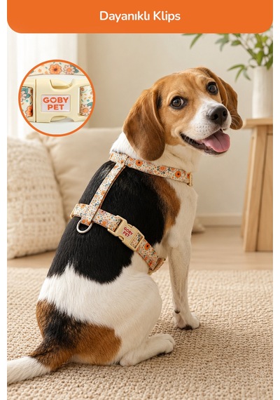 Köpekler İçin Dayanıklı Ve Güvenli, Desenli H Tipi Göğüs Tasması 20mm Krem