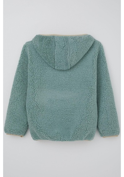 Reycan Erkek Çocuk Peluş Sweatshirt Kapüşonlu Kanguru Cepli 5-8 Yaş, Su Yeşili Su Yeşili Reycan Erkek Çocuk Peluş Sweatshirt Kapüşonlu Kanguru Cepli 5-8 Yaş, Su Yeşili Su Yeşili