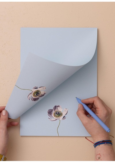 The Mia Art Line Mini Notluk Anemone 21x30 Cm 40 Yaprak