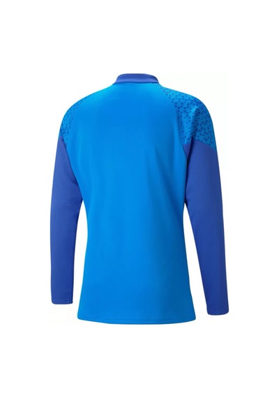Puma Teamcup Training 1/4 Zip Top Erkek Futbol Uzun Kollu Antrenman Üstü 65798202 Mavi 001