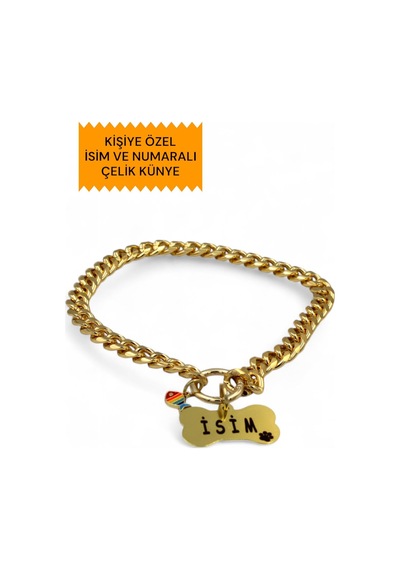 Caramelos İsimli Köpek Tasması- Köpek Zincir - Paslanmaz Çelik Köpek Kolyesi - Köpek Kolye - Orta Ve Büyük Irk Çok Renkli