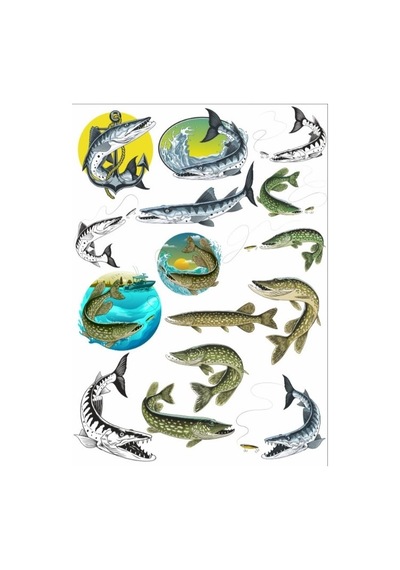 Balık Sticker Set