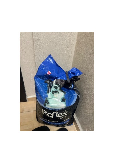 Plus Somonlu Orta Ve Büyük Irk Yetişkin Köpek Maması 12 Kg - 928308519