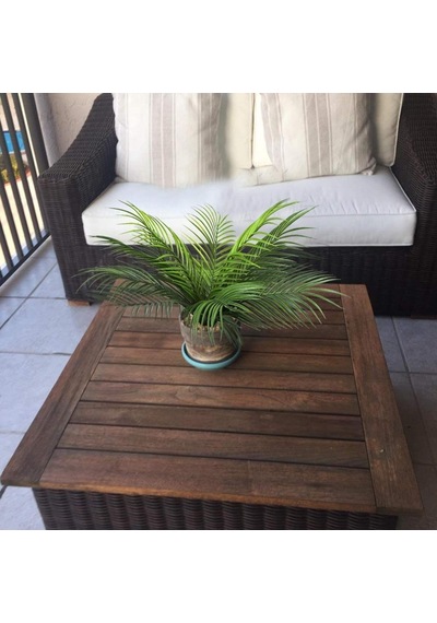 Yapay Çiçek Palmiye Metal Mat Siyah Saksılı Areka Yapay Bitki Sal