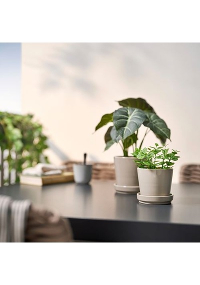 Ikea Fejka Yapay Bitki, Yeşil, 9 Cm, İç/dış Mekan Nane
