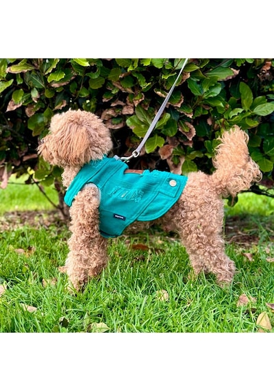 Yeni - Çam Yeşili Renk Kot Köpek Yeleği - Küçük Irklar İçin Şık V