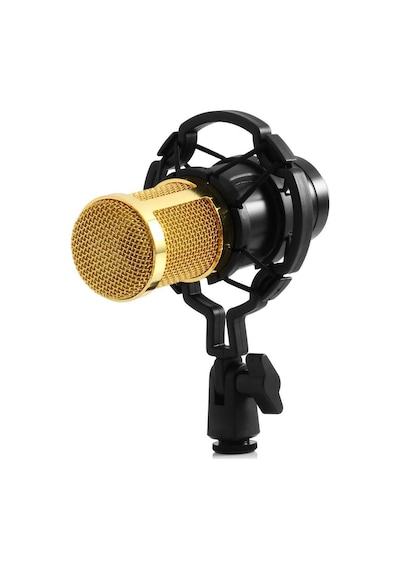 Bm800 Stüdyo Kayıt Youtuber Mikrofonu Seti + Stand + Pop Filtre Bm800 Stüdyo Kayıt Youtuber Mikrofonu Seti + Stand + Pop Filtre
