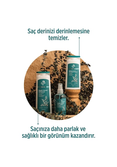 Selesta Life Okaliptüs Ve Çay Ağacı Bitki Özlü 3'lü Kepek Karşıtı Saç Bakım Seti Tüm Saç Tipleri