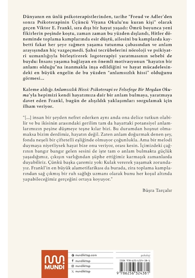 Anlamsızlık Hissi 9786256324381