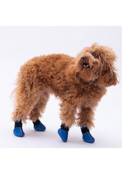 Pawstar Mavi Köpek Ayakkabısı