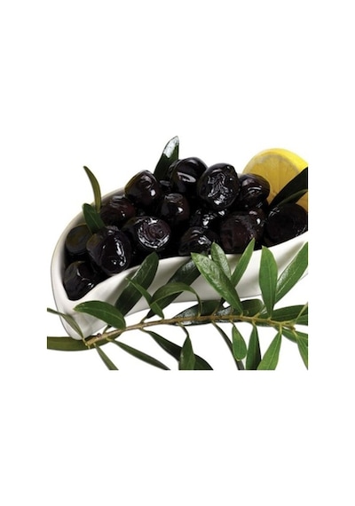 3 Yaş Gemlik Trilye Sofralık Zeytin Fidanı