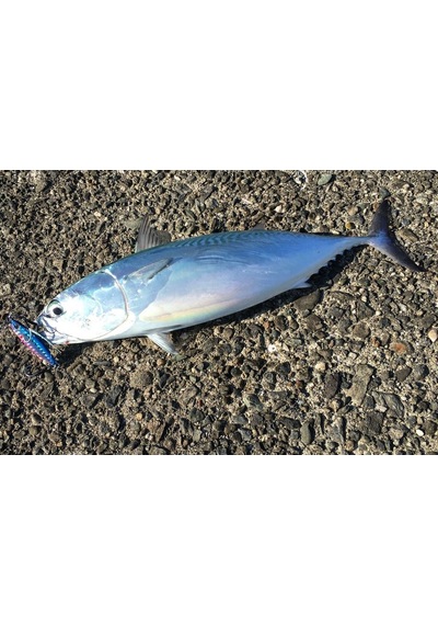 Duo Drag Metal Cast Slim Jig 30Gr. Pha0026 / Red Gold