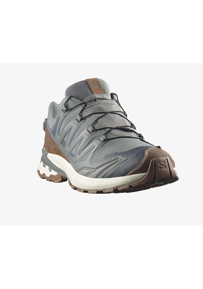 Salomon Xa Pro 3d V9 Gtx Lıfelong M Erkek Outdoor Ayakkabısı L49296100 Gri