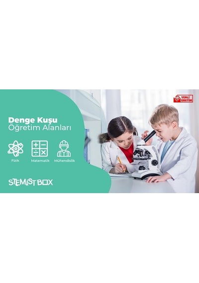 Eğitici Zeka Geliştirici Ahşap Oyuncak Robotik Kodlama Denge Kuşu