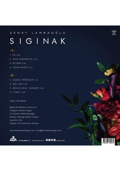 Şenay Lambaoğlu - Sığınak Plak