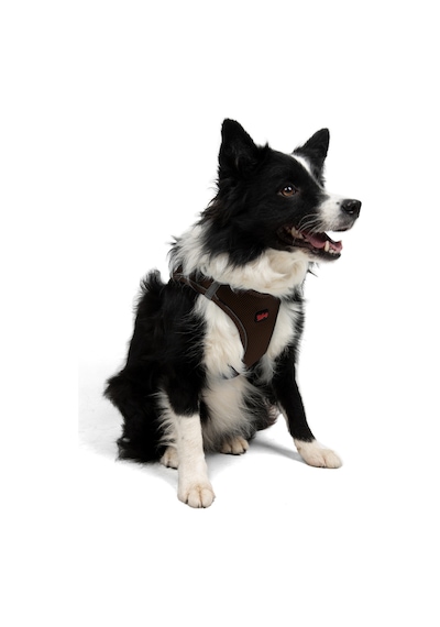 Air-Mesh Küçük ve Orta Irk Kedi Köpek Göğüs Tasması - Yumuşak, Nefes Alabilir, Dayanıklı KAHVRENGİ 2XS Air-Mesh Küçük ve Orta Irk Kedi Köpek Göğüs Tasması - Yumuşak, Nefes Alabilir, Dayanıklı KAHVRENGİ 2XS