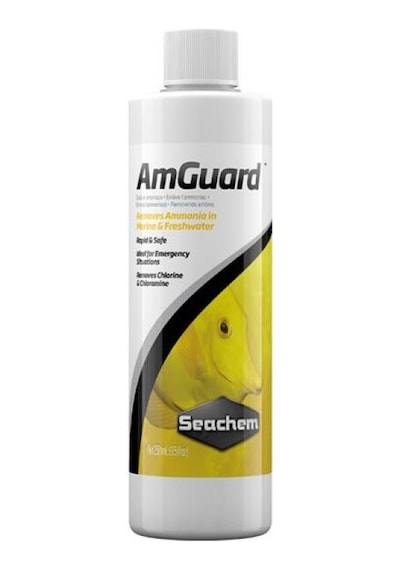 Seachem Amguard 250 ML