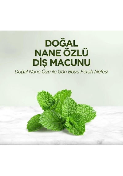 Eyüp Sabri Tuncer Nane Özlü Diş Macunu 3 x 90 ML