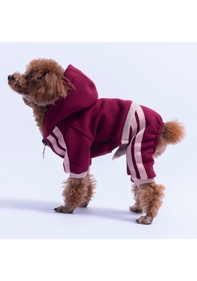 Bordo Denver Track Tulum Köpek Tulumu Köpek Kıyafeti Köpek Eşofmanı Kedi Kıyafeti