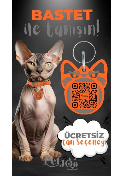 Petjoo 1.Bastet Gri-Turuncu Qr'lı Kedi Künyesi