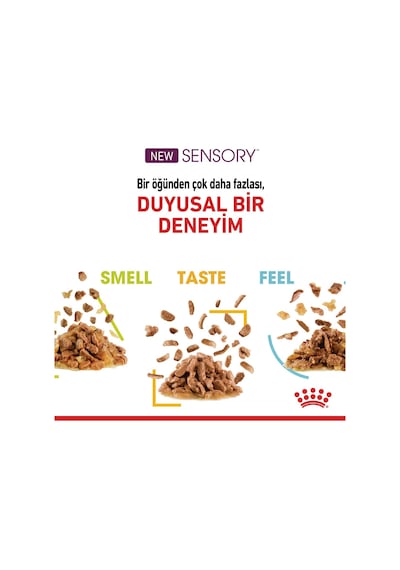 Royal Canin Sensory Smell Gravy Yetişkin Kedi Konservesi 85 G