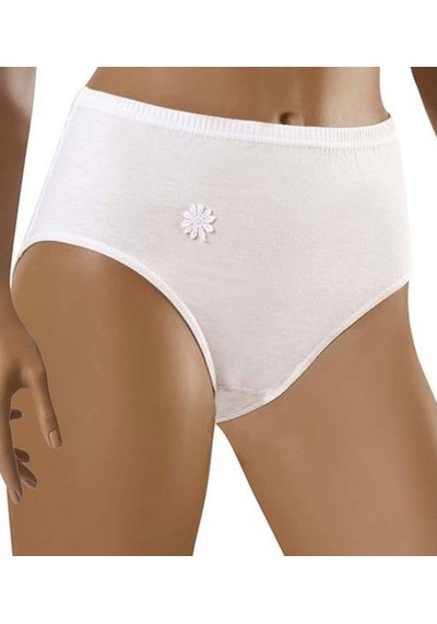 6 Lı Paket Şahin Bayan Penye Bato Slip Külot 30500