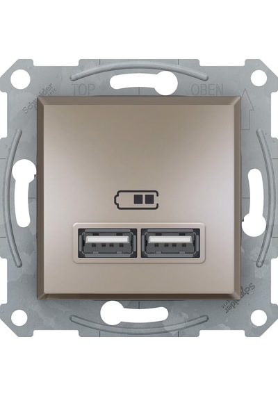 Eph2700269 Asfora Bronz 2'li Usb 21 A