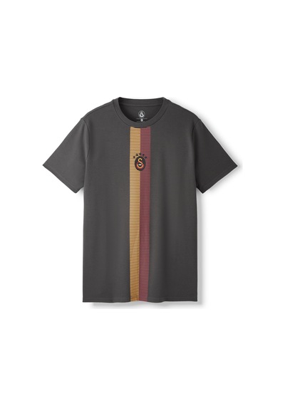 Gsstore Galatasaray Erkek T-shirt E261078 Antrasit