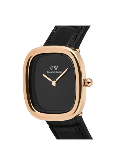 Daniel Wellington Dw00600881 Kadın Kol Saati Diğer
