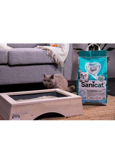 Active Marsilya Sabunlu Topaklanan Kedi Kumu 10l