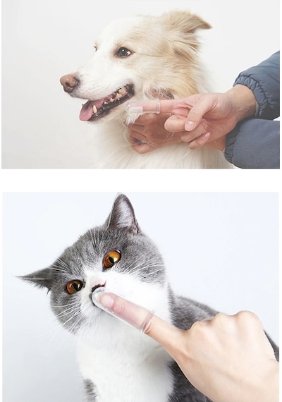 Kedi Ve Köpek Parmak Diş Fırçası (Saklama Kutulu)