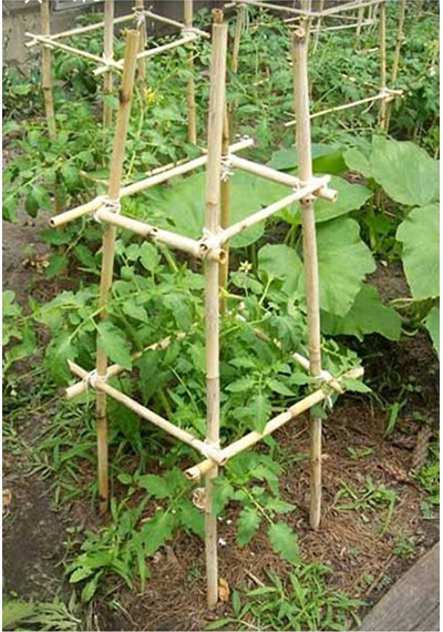 Bitki Destek Çubuğu 10 Adet 150 Cm