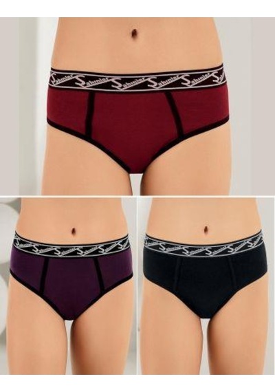 6 Lı Paket Şahinler Bayan Likralı Bikini Külot B3084
