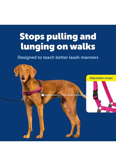Tr Easy Walk No-pull Köpek Göğüs Tasması, Çekmeyi Önlemeye Yardımcı, Kontrolü Ele Alın Ve Tasmayla Daha İyi Genel