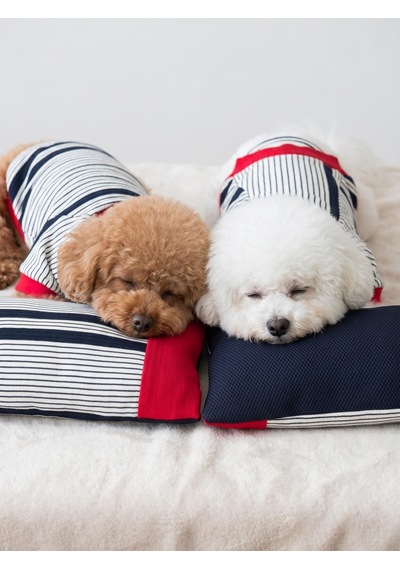 Yacht Club Marin Çizgili Köpek Uyku Takımı Lacivert Kırmızı Pamuklu Köpek Tulumu Ve Mini Yastık Küçük Irklar İçin